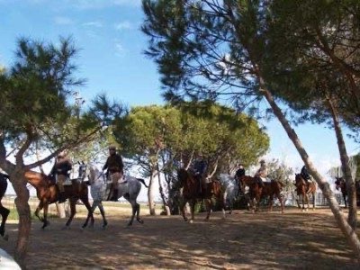 On horseback in the Andalusian countryside, travel to Spain