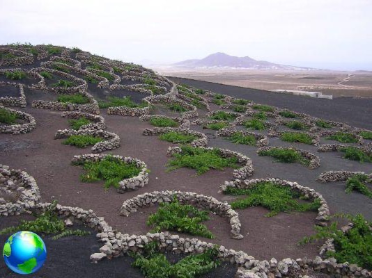 Low cost holiday in Lanzarote, 6 things to do
