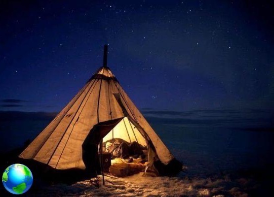 Laponia sueca: lo que comen los sámi