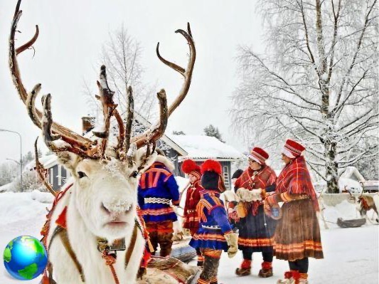 Lapônia sueca: o que comem os sami