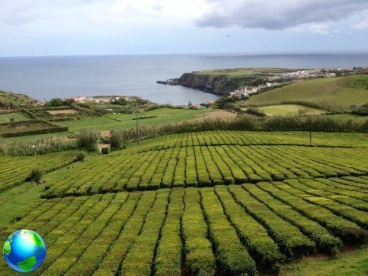 Cinq choses à faire aux Açores, au Portugal