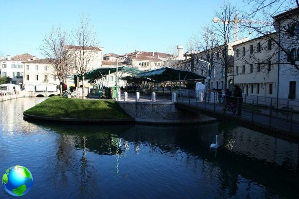 What to do in Treviso in two days