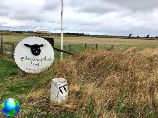 Texel, in the north of Holland: what to do in 3 days