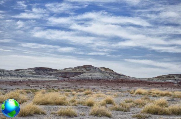 Arizona, between the Painted Desert and Indian roads