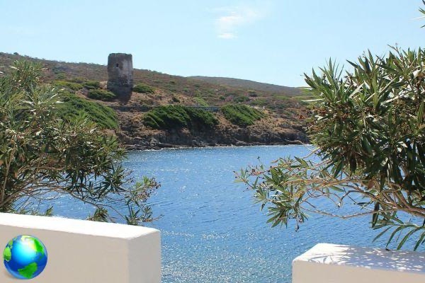 Isla de Asinara: las playas más bonitas de Cerdeña