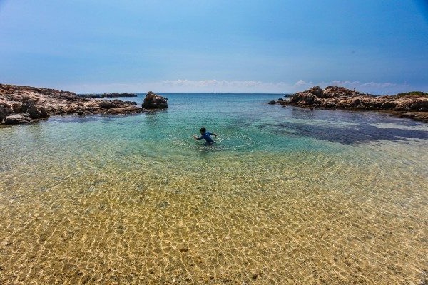 Asinara Island: the most beautiful beaches in Sardinia