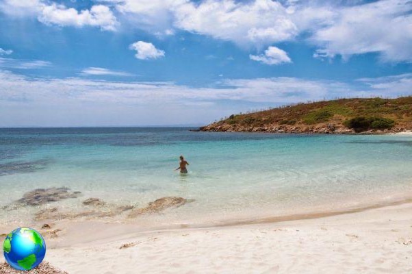Isla de Asinara: las playas más bonitas de Cerdeña
