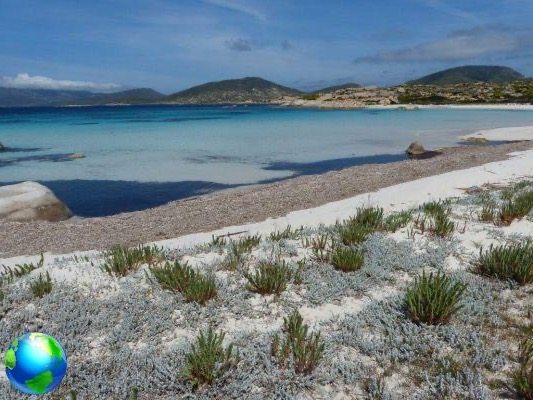 Ilha Asinara: as praias mais bonitas da Sardenha