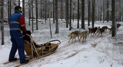 Levi, Laponia: un servicio turístico inolvidable