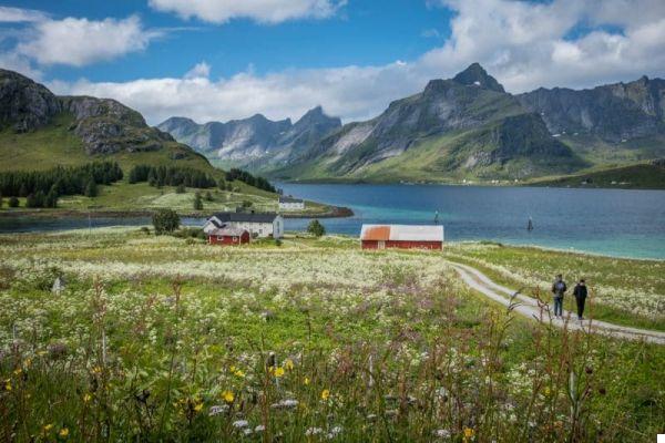 Iles Lofoten : mon road trip au Cap Nord (Norvège)