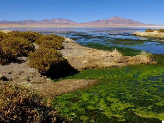 Travel to northern Chile: from Santiago to San Pedro de Atacama