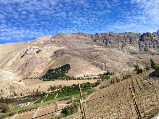 Travel to northern Chile: from Santiago to San Pedro de Atacama
