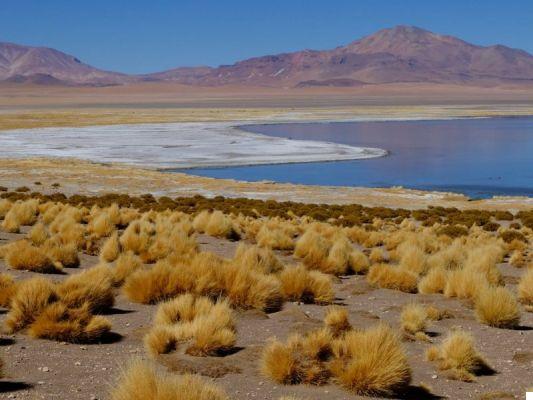 Viajar al norte de Chile: de Santiago a San Pedro de Atacama