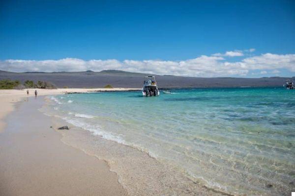 How to organize a trip to the Galapagos Islands: all you need to know (how much does it cost, when to go, cruise or not? ..)