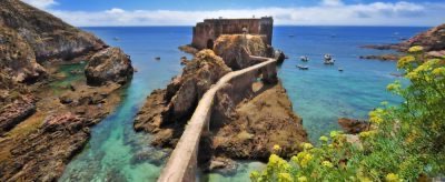 Berlengas Reserve: a small jewel in the Atlantic