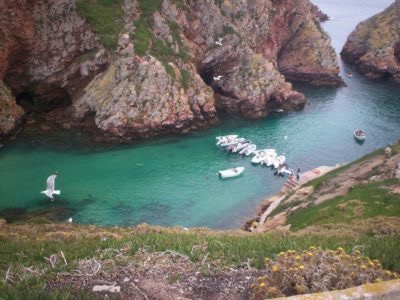 Berlengas Reserve: a small jewel in the Atlantic