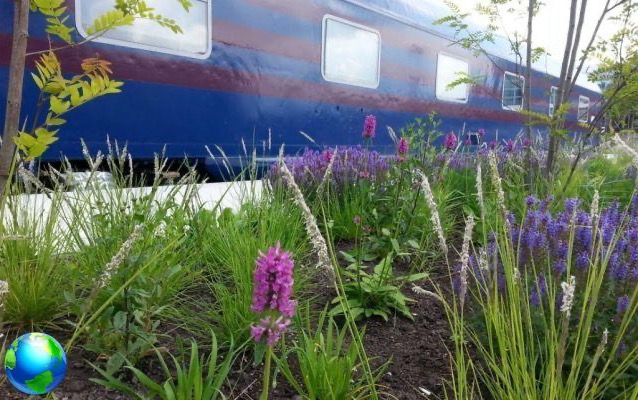 Train Lodge: albergue realmente económico en Ámsterdam