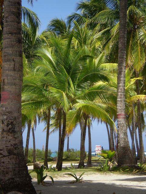 Consejos de vacaciones en la isla de San Andrés