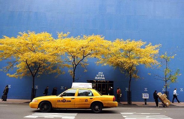 Autumn in New York: shopping and walking