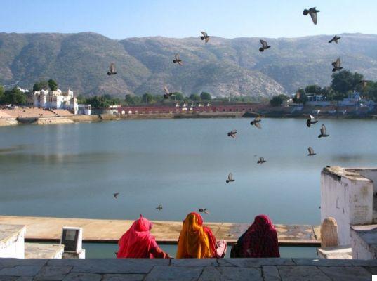 What to see in Northern India: the Rajasthan of the maharajas