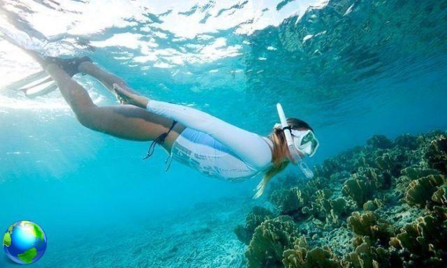 5 places to snorkel in Perth