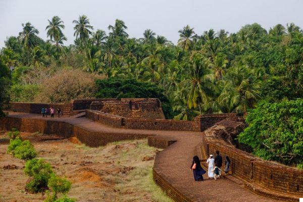 Kerala (South India): 10 wonderful experiences to do