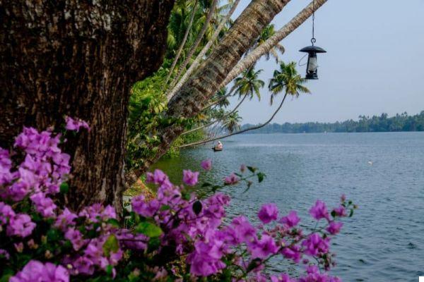 Kerala (Inde du Sud) : 10 merveilleuses expériences à faire