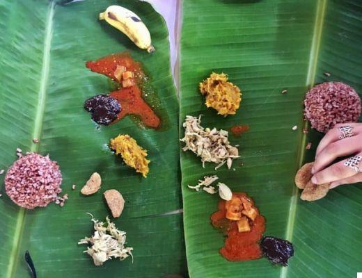 Kerala (Inde du Sud) : 10 merveilleuses expériences à faire