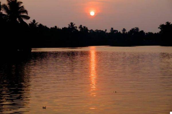 Kerala (South India): 10 wonderful experiences to do